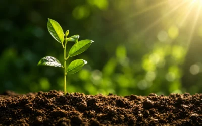Pourquoi un Jardinier 95 est-il indispensable toute l’année ?