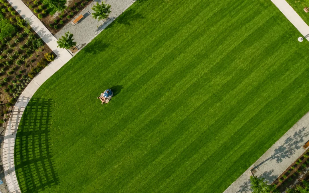 Quels travaux réalise un paysagiste dans le Val-d&rsquo;Oise ?