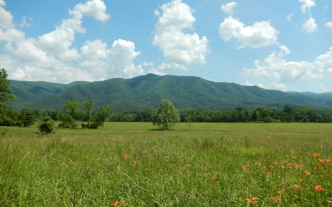 green grass field near mountain under blue sky during daytime
