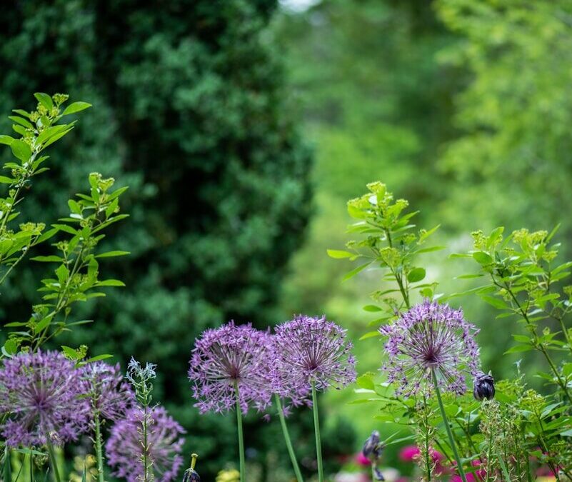 Jardinier Domont