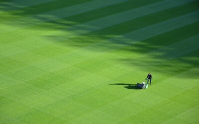 Pourquoi réaliser une Tonte de pelouse 95 régulièrement ?