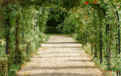 Pourquoi faire intervenir un Jardinier Domont au printemps ?