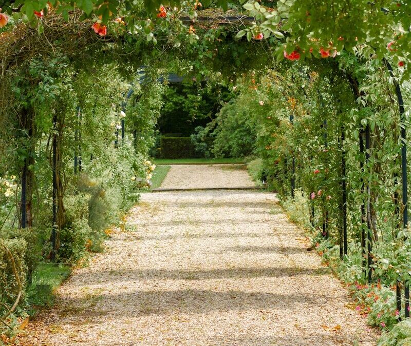 Pourquoi faire intervenir un Jardinier Domont au printemps ?
