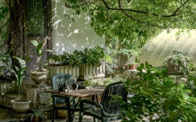 Pourquoi un Jardinier 95 réalise-t-il la tonte de pelouse ?