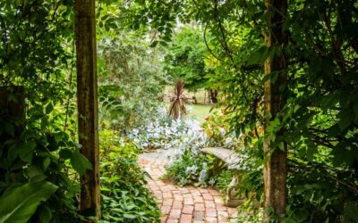 Comment choisir un Jardinier Domont de confiance ?