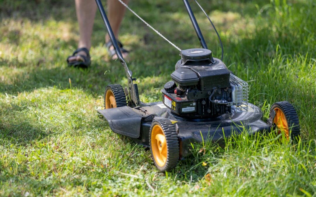 À quelle fréquence réaliser une Tonte de pelouse 95 ?