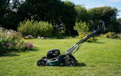 Comment obtenir un gazon parfait grâce à une Tonte de pelouse 95 ?